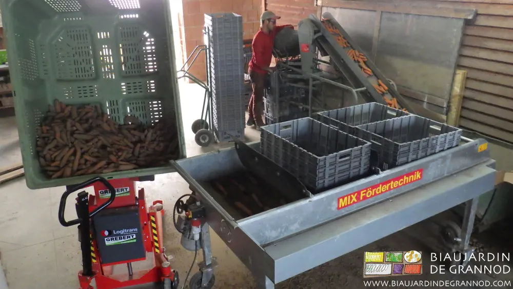 Quelques matériels simples pouréconomiser le temps et le corps du paysan lors de la préparation des légumes. Quelques matériels simples pouréconomiser le temps et le corps du paysan lors de la préparation des légumes.